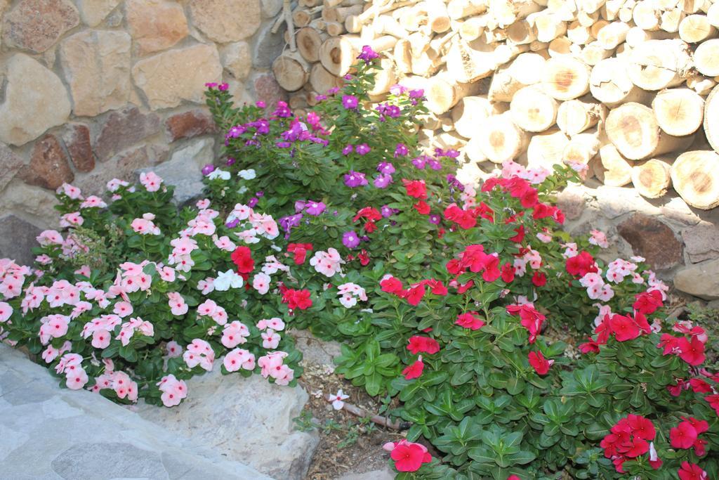 דירות אילת מקום שקט ומודרני מראה חיצוני תמונה